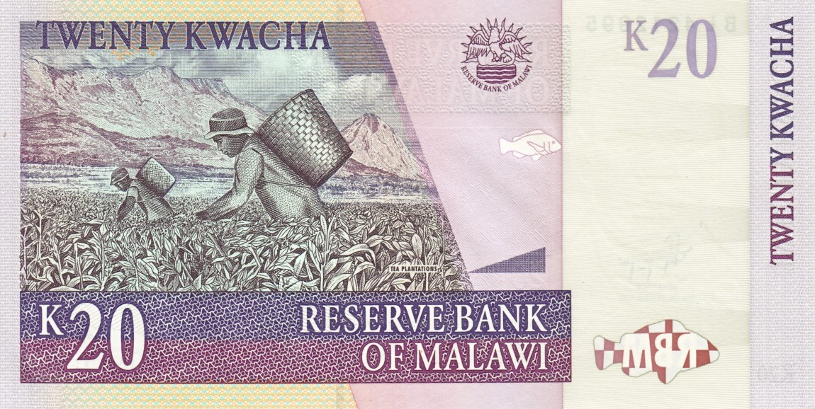 Back of Malawi p52d: 20 Kwacha from 2009