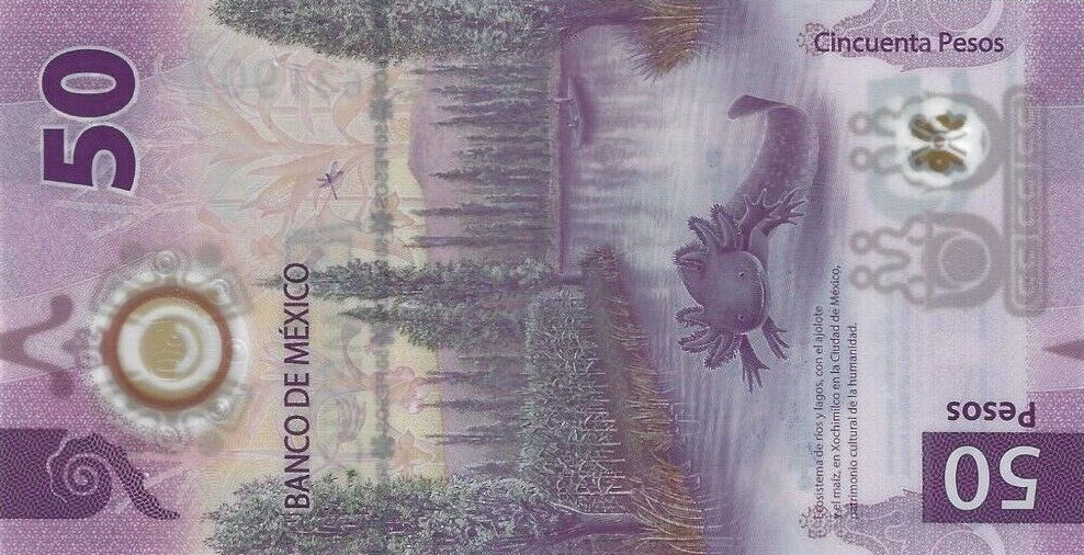 Back of Mexico p130Aa: 50 Pesos from 2021