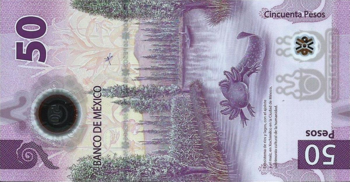 Front of Mexico p130Ab: 50 Pesos from 2022