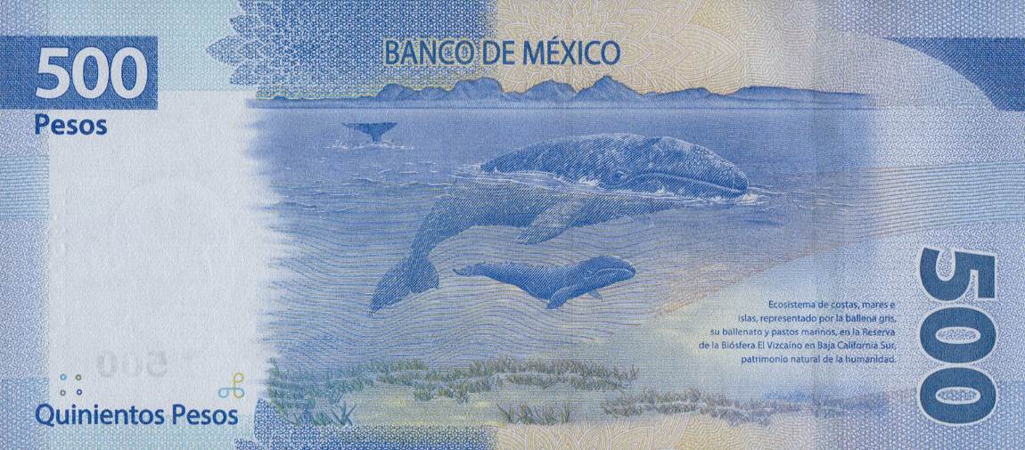 Back of Mexico p133a: 500 Pesos from 2017