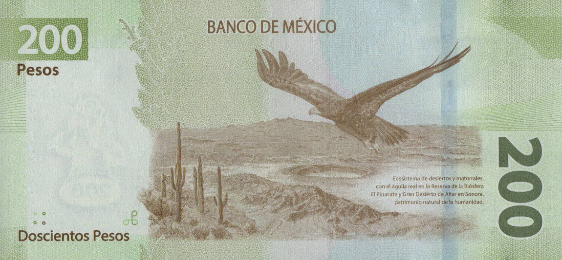 Back of Mexico p135a: 200 Pesos from 2019