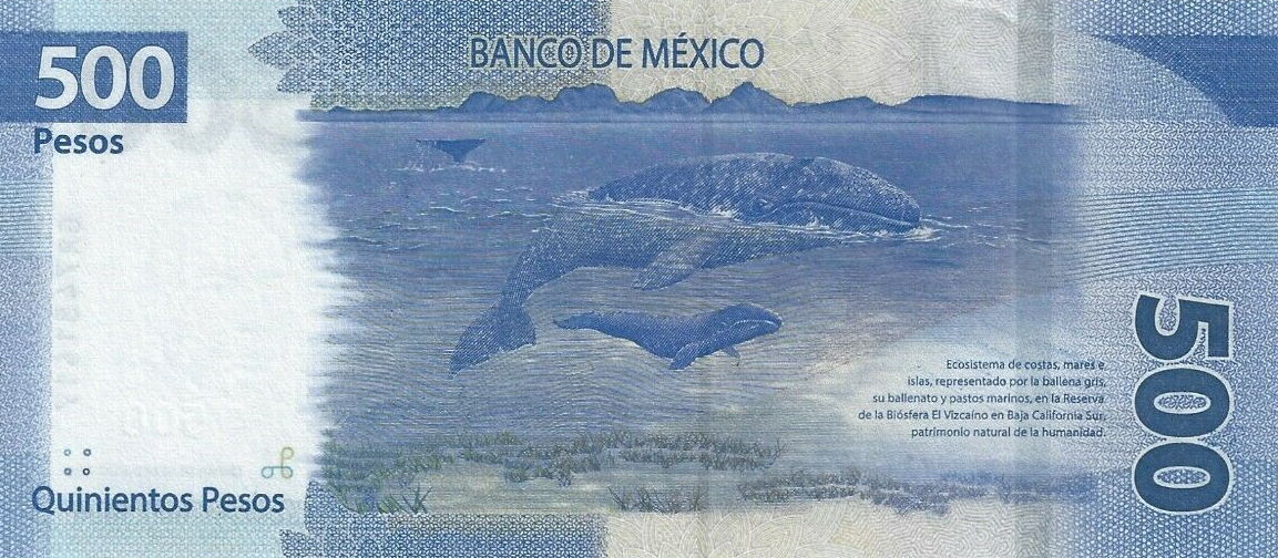 Back of Mexico p133c: 500 Pesos from 2019