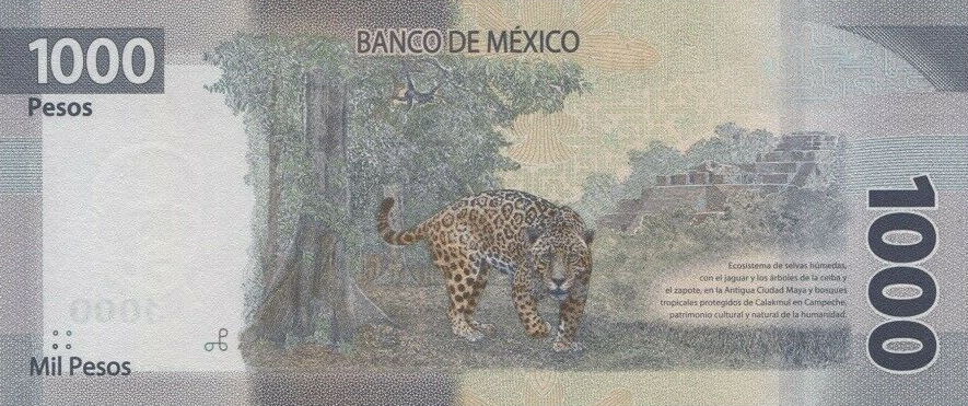 Back of Mexico p134a: 1000 Pesos from 2019