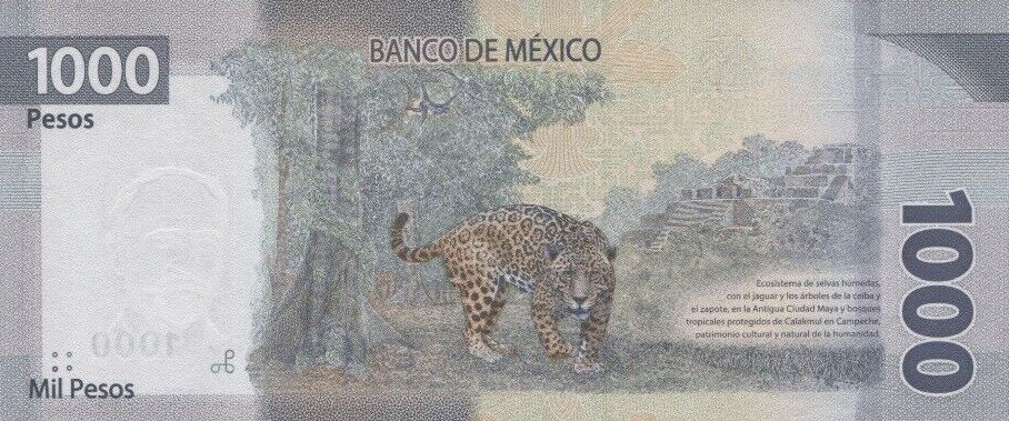 Back of Mexico p134b: 1000 Pesos from 2021