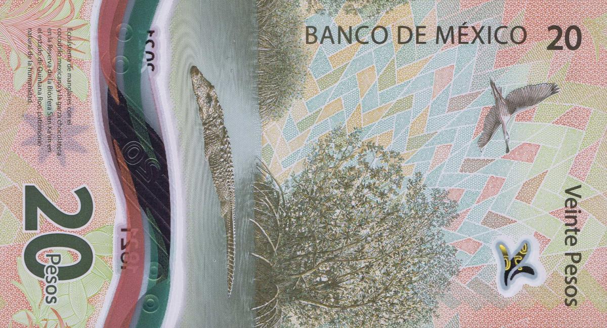 Back of Mexico p136a: 20 Pesos from 2021