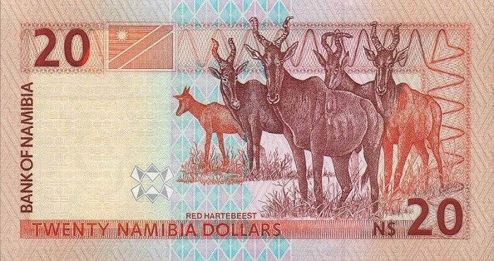 Back of Namibia p5a: 20 Namibia Dollars from 1996