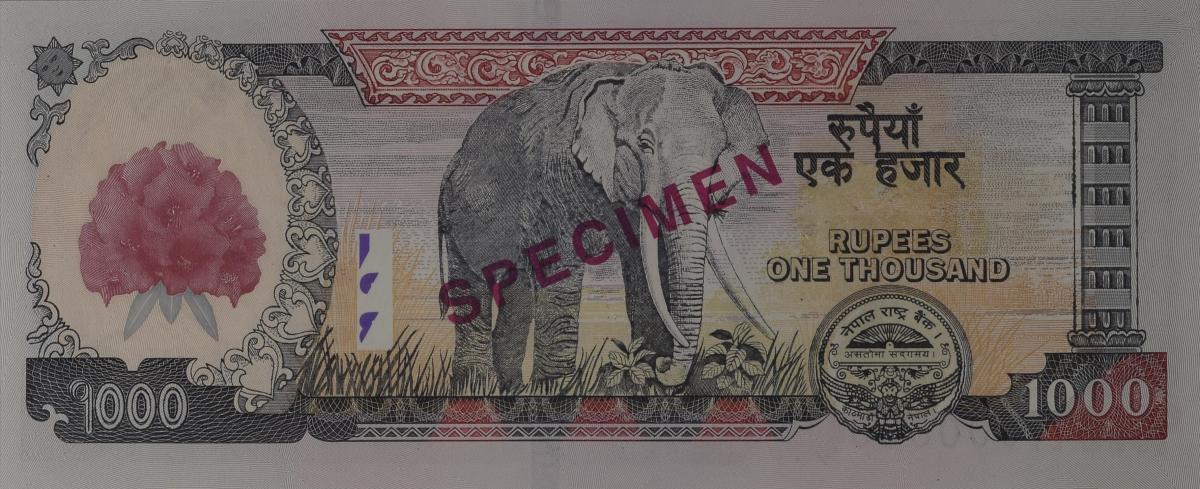 Back of Nepal p67s: 1000 Rupees from 2008