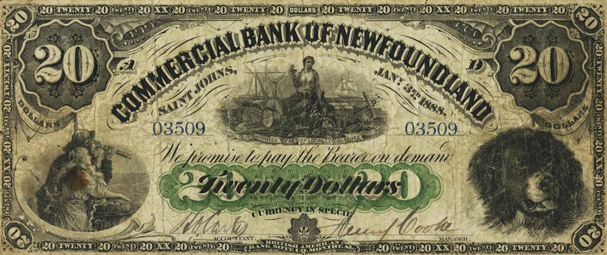 Front of Newfoundland pS116: 20 Dollars from 1888