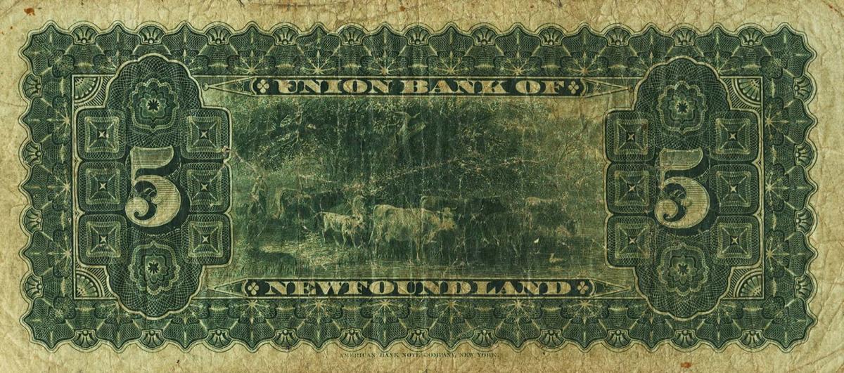 Back of Newfoundland pS125a: 5 Dollars from 1889