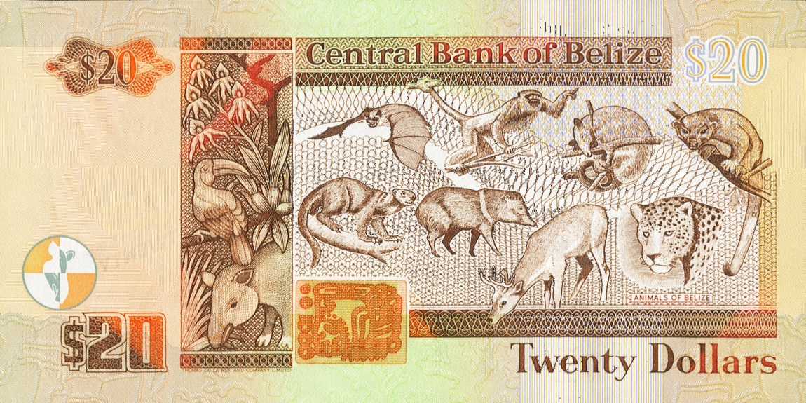 Back of Belize p69b: 20 Dollars from 2005