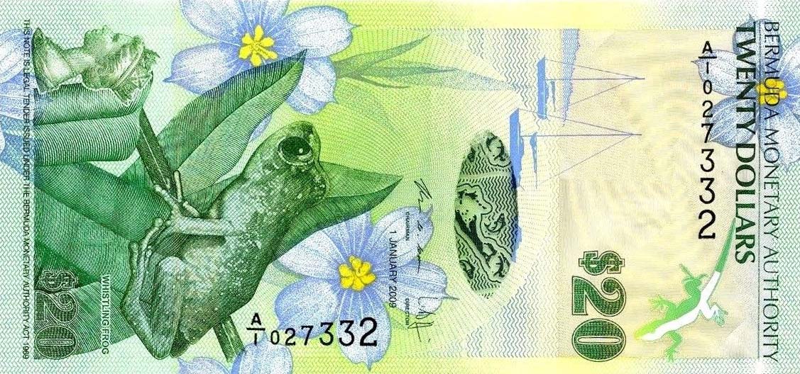 Front of Bermuda p60b: 20 Dollars from 2009