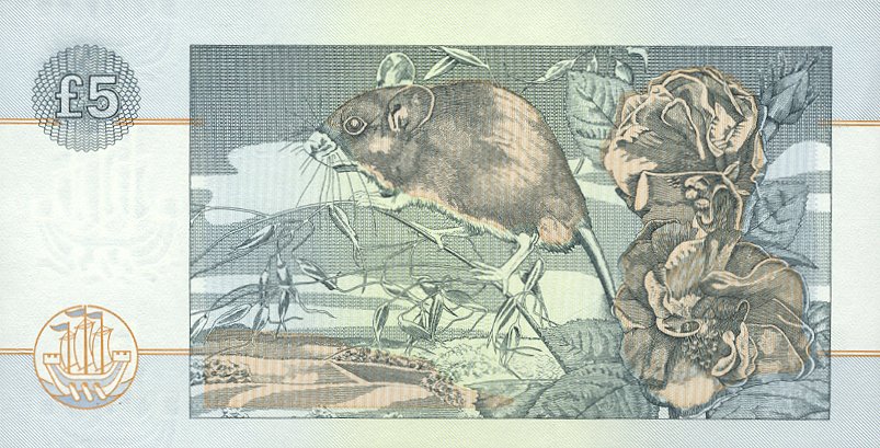 Back of Scotland p218b: 5 Pounds from 1994