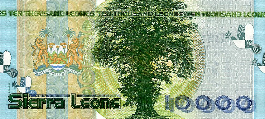 Back of Sierra Leone p29a: 10000 Leones from 2004