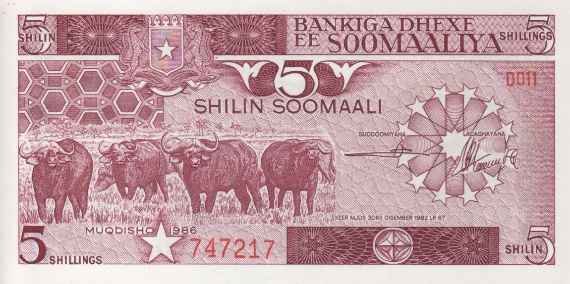 Front of Somalia p31b: 5 Shilin from 1986