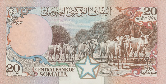 Back of Somalia p33d: 20 Shilin from 1989