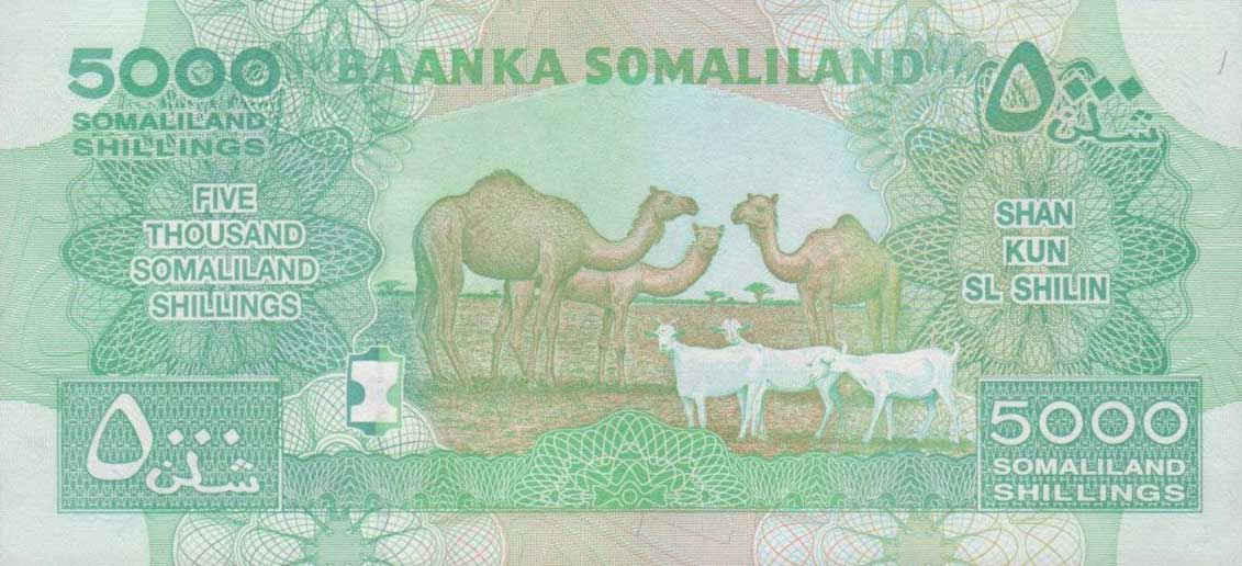 Back of Somaliland p21a: 5000 Shillings from 2011