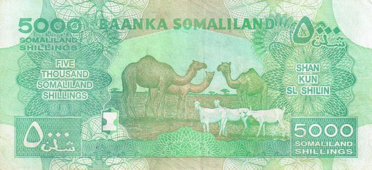 Back of Somaliland p21c: 5000 Shillings from 2015