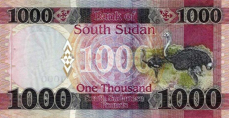 Back of South Sudan p17a: 1000 Pounds from 2020