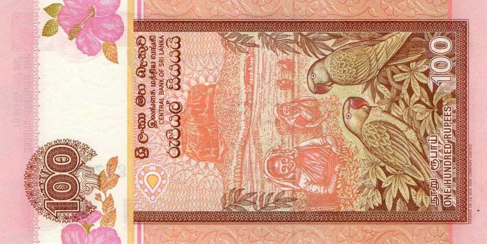 Back of Sri Lanka p105a: 100 Rupees from 1991