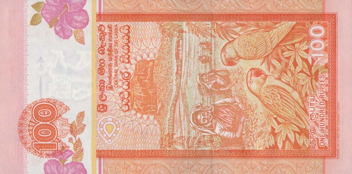 Back of Sri Lanka p111b: 100 Rupees from 2001