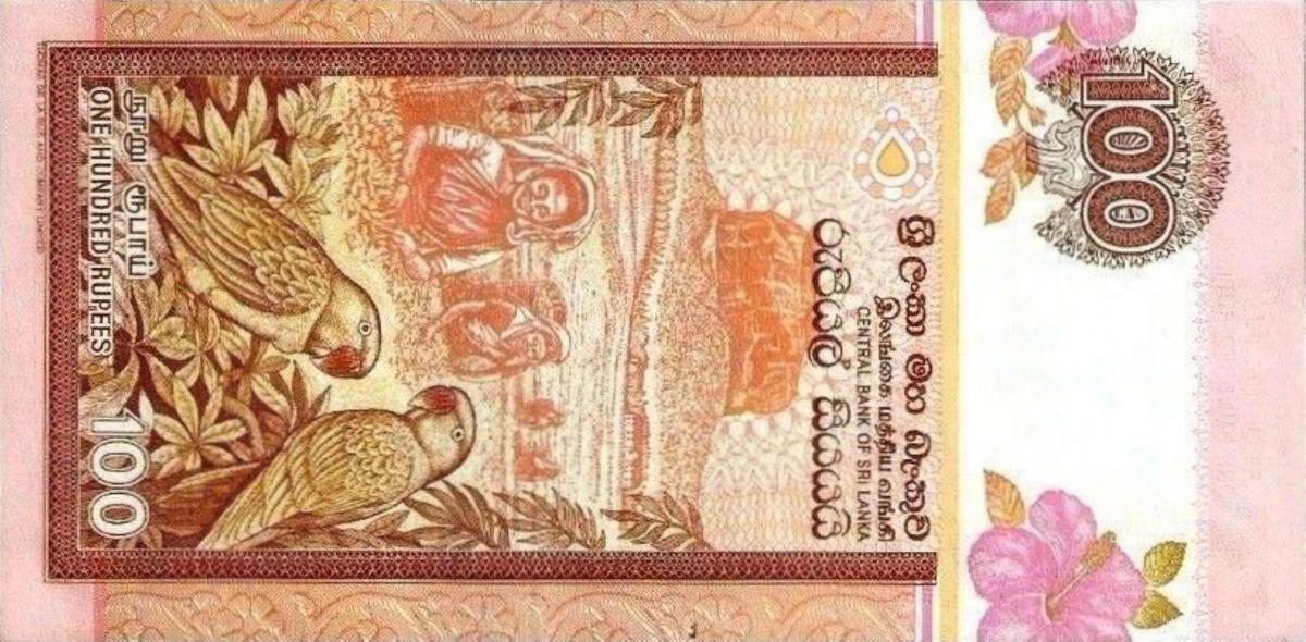 Back of Sri Lanka p105r: 100 Rupees from 1991