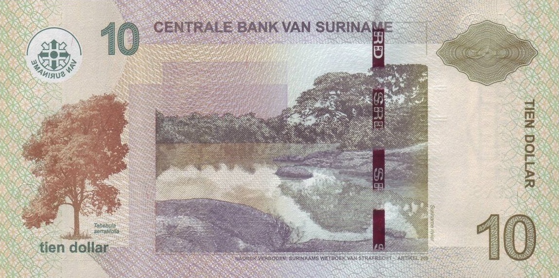 Back of Suriname p163a: 10 Dollars from 2010