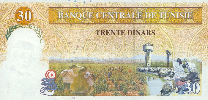 Back of Tunisia p89: 30 Dinars from 1997