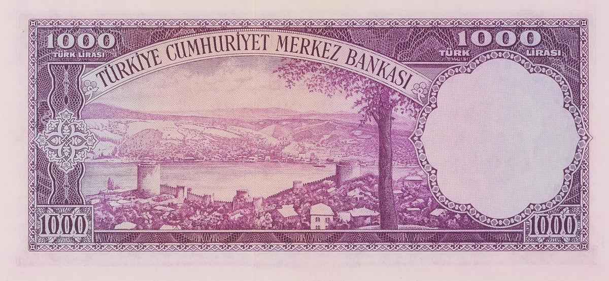 Back of Turkey p172a: 1000 Lira from 1953