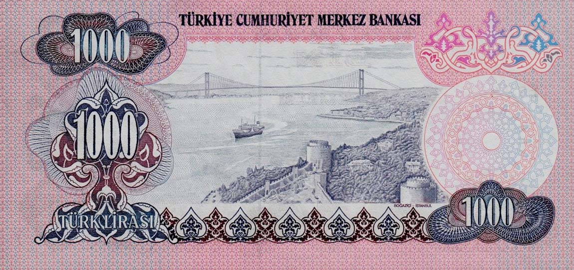 Back of Turkey p191: 1000 Lira from 1970