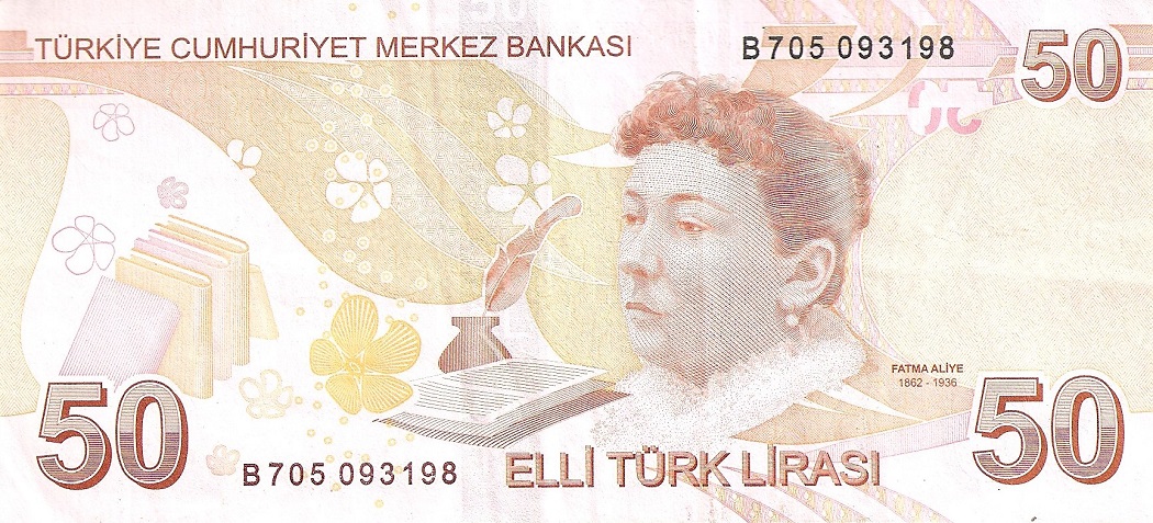 Back of Turkey p225b: 50 Lira from 2009