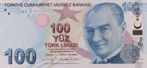 Gallery image for Turkey p226g: 100 Lira