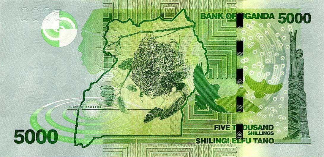 Back of Uganda p51c: 5000 Shillings from 2013