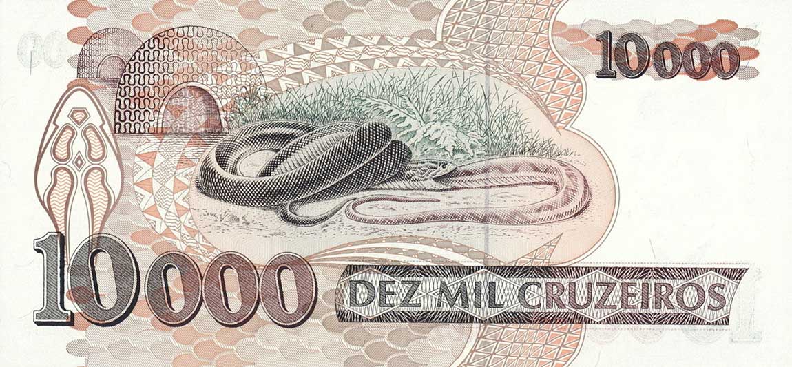 Back of Brazil p233a: 10000 Cruzeiros from 1991