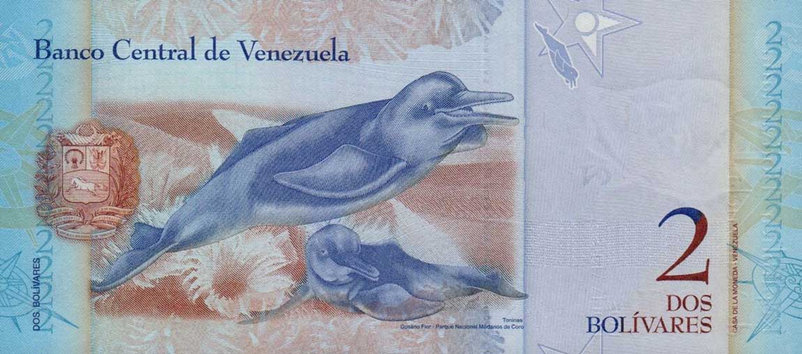 Back of Venezuela p88c: 2 Bolivares from 2008