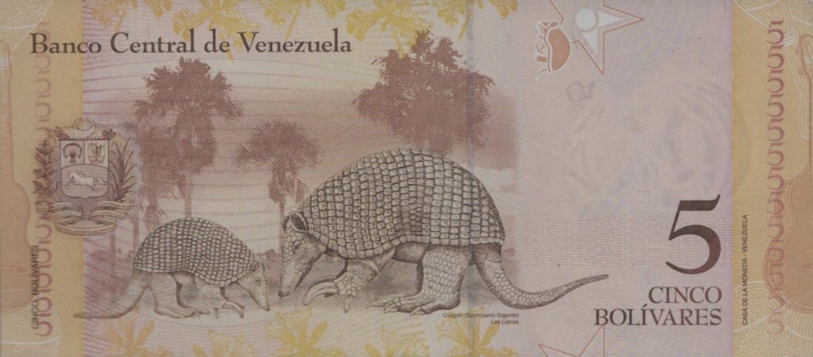 Back of Venezuela p89r: 5 Bolivares from 2009