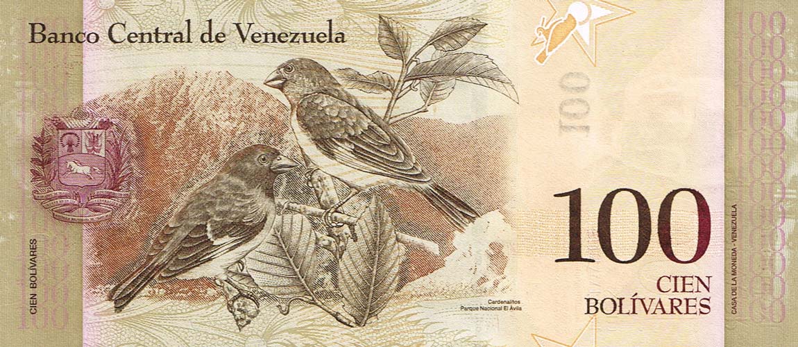 Back of Venezuela p93b: 100 Bolivares from 2008