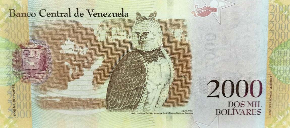 Back of Venezuela p96s: 2000 Bolivares from 2016