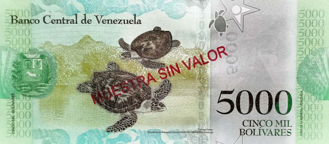 Back of Venezuela p97s: 5000 Bolivares from 2016