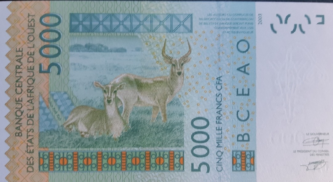 Back of West African States p417De: 5000 Francs from 2007