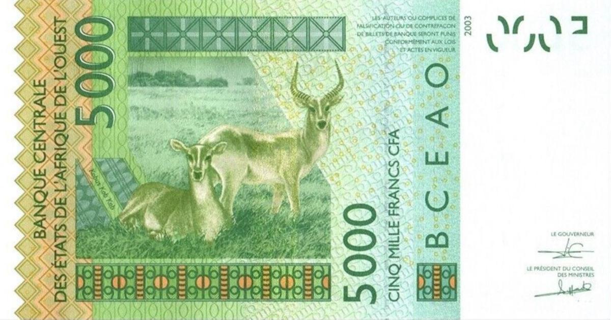 Back of West African States p917Sq: 5000 Francs from 2017