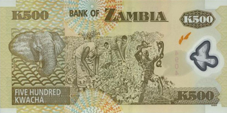 Back of Zambia p43g: 500 Kwacha from 2009