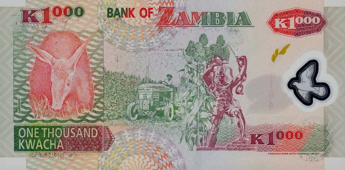Back of Zambia p44b: 1000 Kwacha from 2003