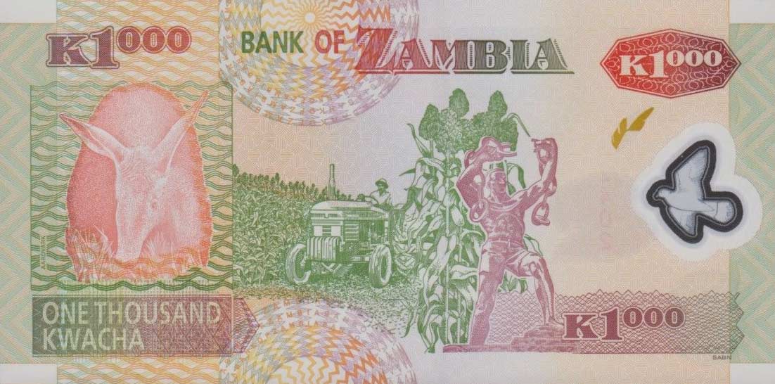Back of Zambia p44g: 1000 Kwacha from 2009