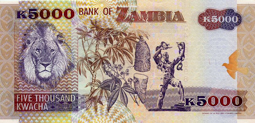 Back of Zambia p45a: 5000 Kwacha from 2003