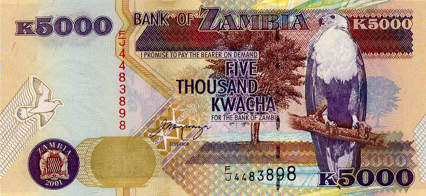 Front of Zambia p45a: 5000 Kwacha from 2003