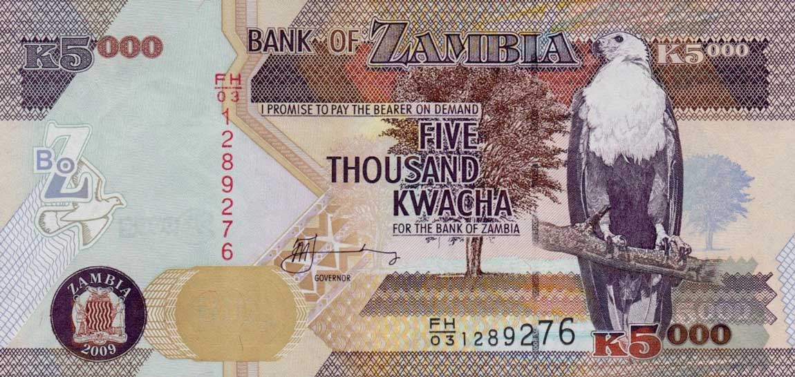 Front of Zambia p45e: 5000 Kwacha from 2009