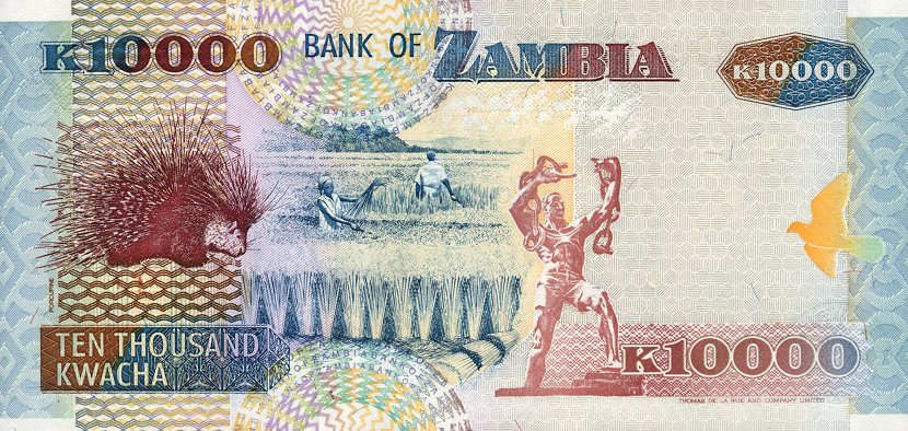 Back of Zambia p46a: 10000 Kwacha from 2003