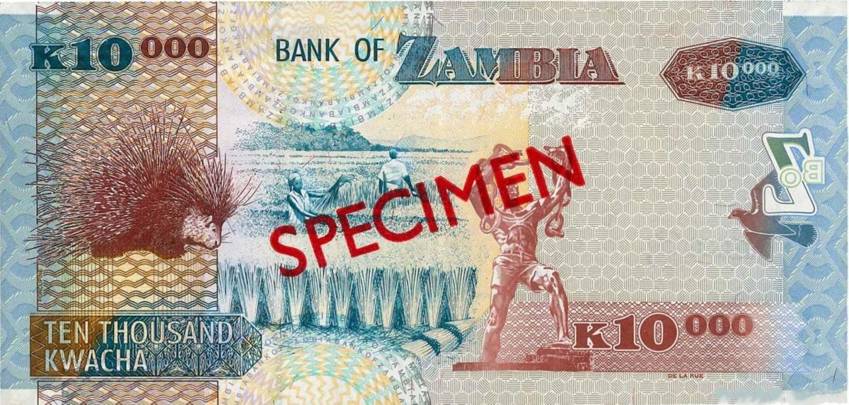 Back of Zambia p46s: 10000 Kwacha from 2003