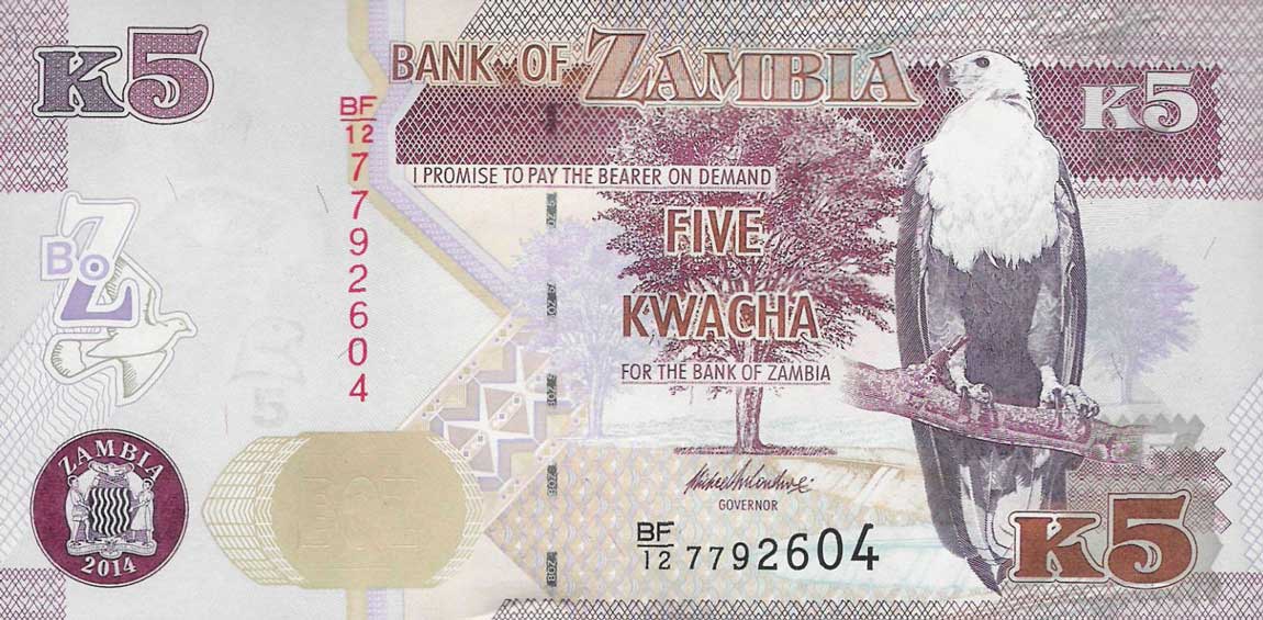 Front of Zambia p50c: 5 Kwacha from 2014