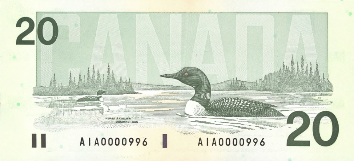 Back of Canada p97a: 20 Dollars from 1991